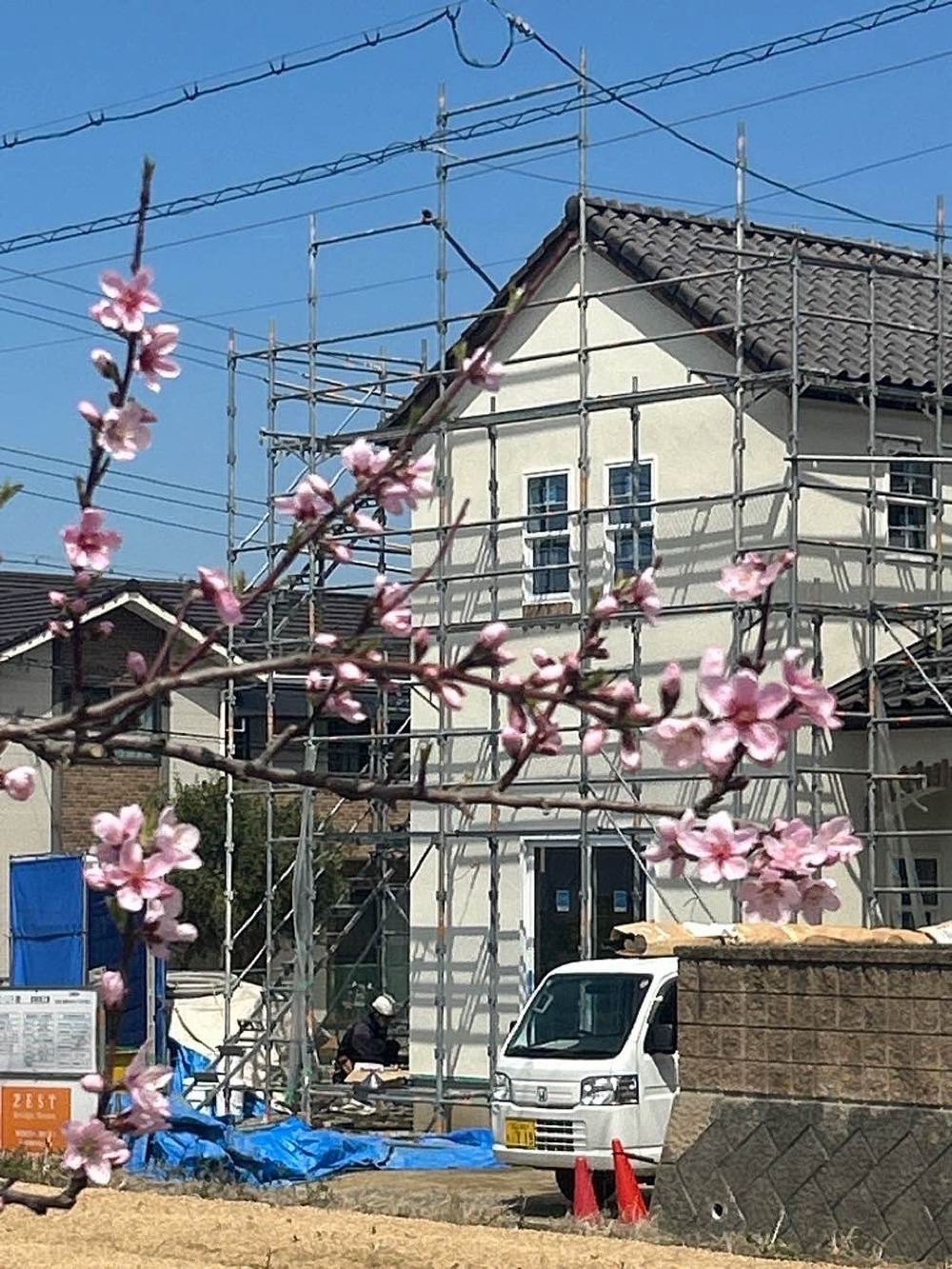 現場状況