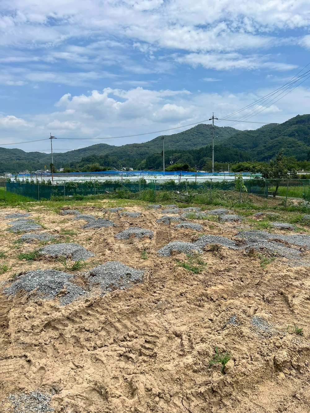 現場状況