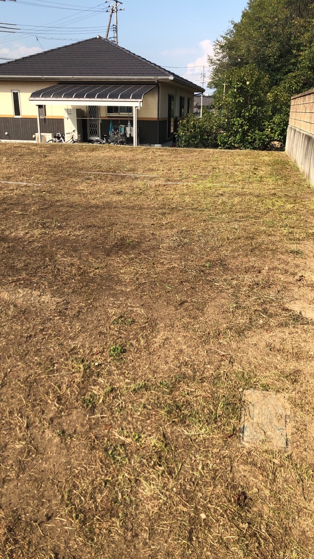 現場状況