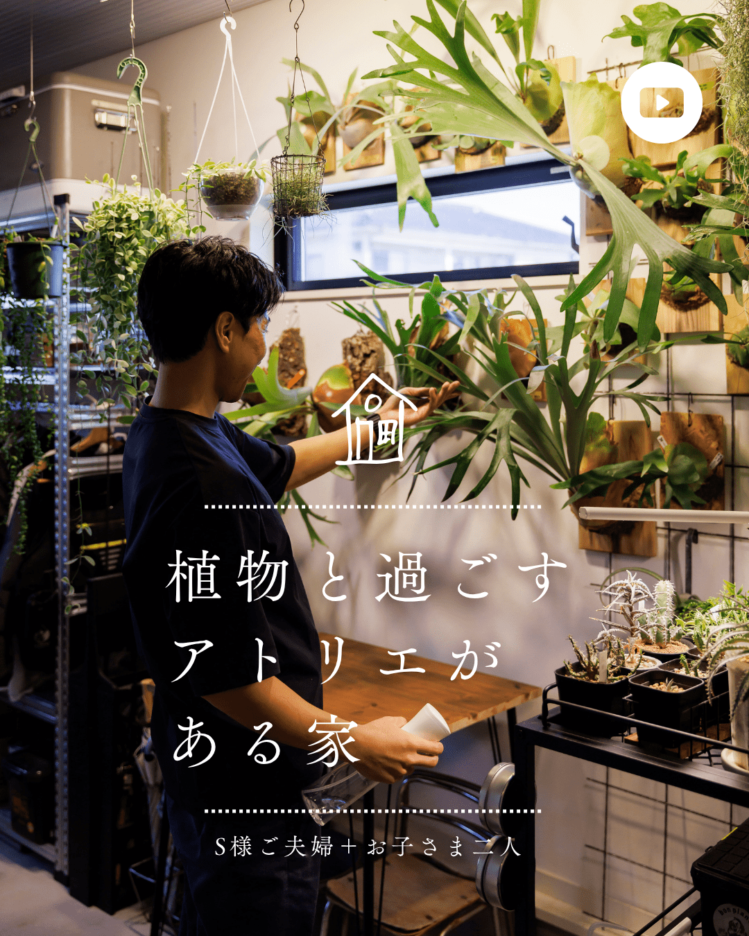 木漏れ日の家